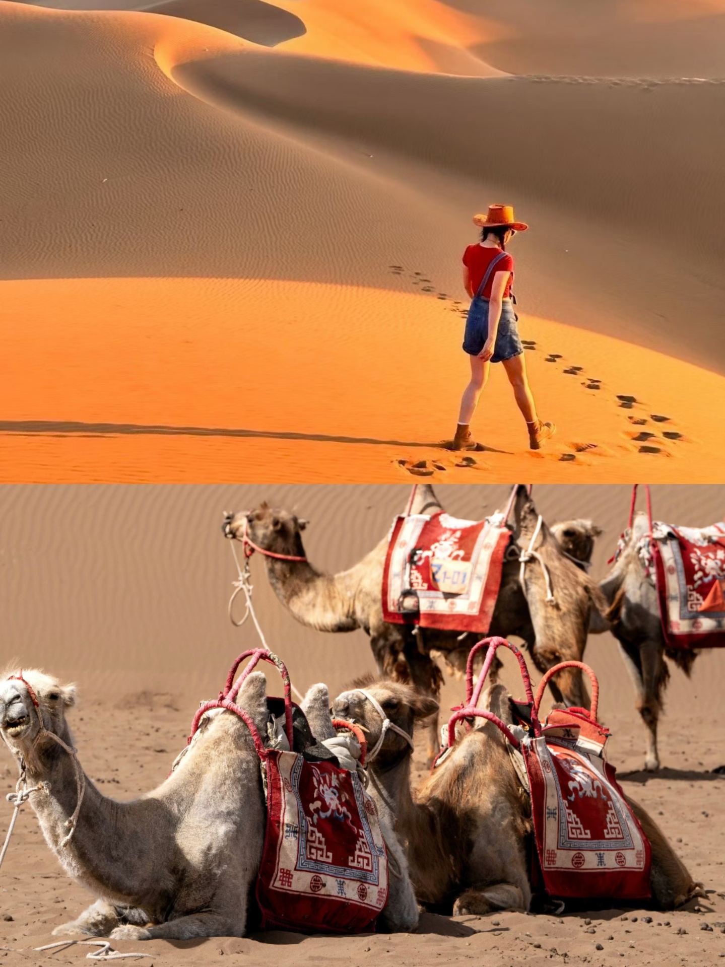 See All of Xinjiang in One Trip [24 Days and 23 Nights in Northern and Southern Xinjiang]