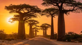Madagascar | Venture into the Earth’s isolated island secret realm, a wild paradise you must visit once in a lifetime