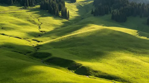 “Certified by the China Meteorological Administration as ‘plateau cool zones’! These 3 places in Xinjiang are the true escapes from the August heat — traveler post in Hami