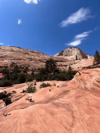 Summer 8-day USA trip guide for beginners
