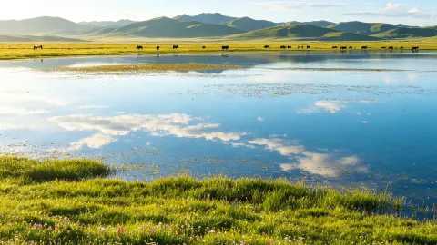 Gannan free wonderland Luqu Gahai Lake | plateau mirror lake, summer migratory birds flying everywhere — traveler post in Linxia Prefecture