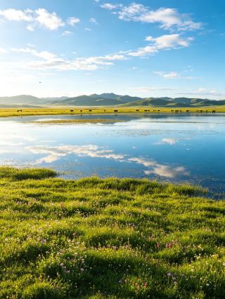 Gannan free wonderland Luqu Gahai Lake | plateau mirror lake, summer migratory birds flying everywhere