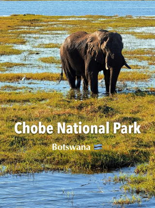 Botswana | Chobe National Park Safari adventure