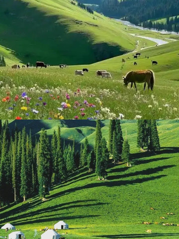 maruto--- さまSUWAH Northern Placen How to drive from Northeast China to Xinjiang? Here is a detailed