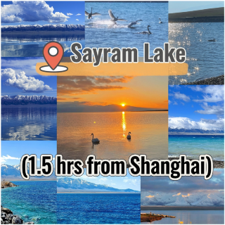 Escape the concrete jungle of Shanghai for a relaxing short getaway. A 1.5-hour drive from Shanghai, head to Haining Shenxian Lake Ecological Park and step into a lush, green mountain