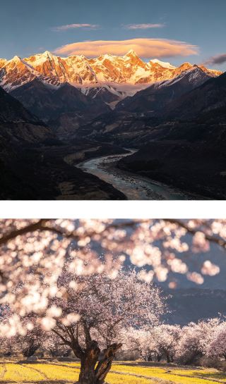  林芝｜桃の花と雪山、峡谷が織りなすチベットの江南
