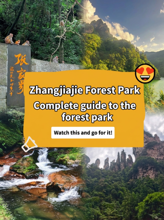 Before coming to Zhangjiajie National Forest Park, I really didn't expect