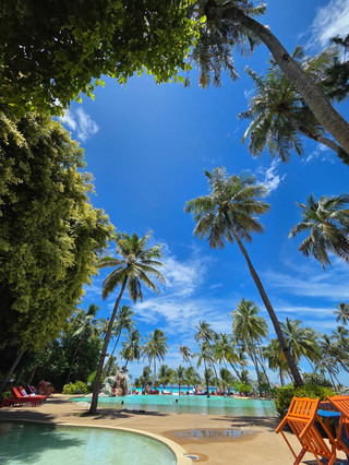 Wonderful Stay in a True Paradise