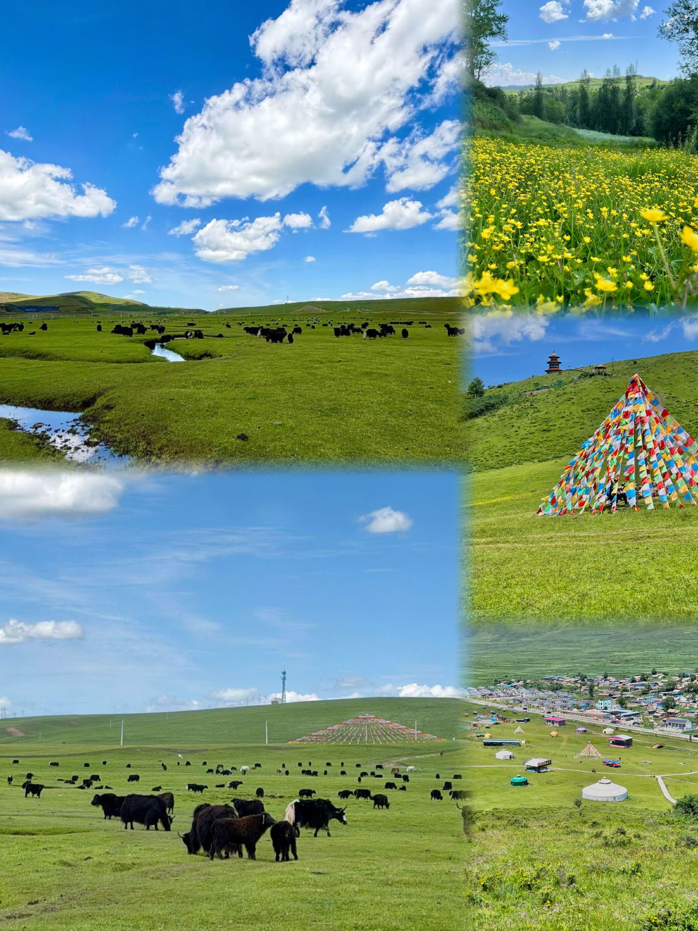Stop crowding into Altay! This wilderness is right here in Dingxi, Gansu