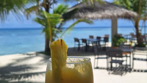 플루메리아 리조트에서의 완벽한 휴가。 — traveler post in Thinadhoo