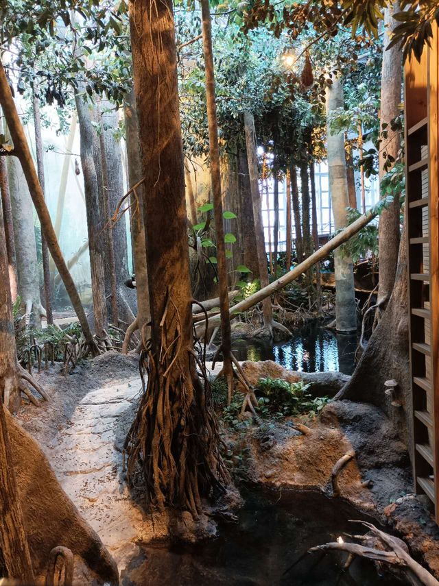 Hong Kong Wetland Park - Visitor Centre