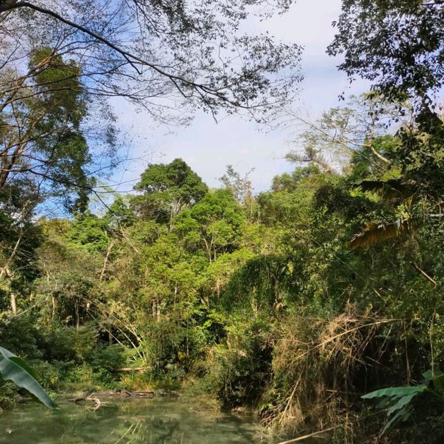 生態自然美好的蓬萊溪護漁步道