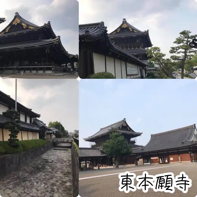 京都東本願寺‼️ 賞楓葉🍁之處