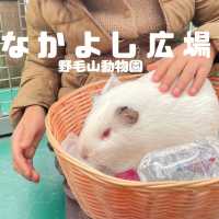 ふれあい広場〜野毛山動物園〜