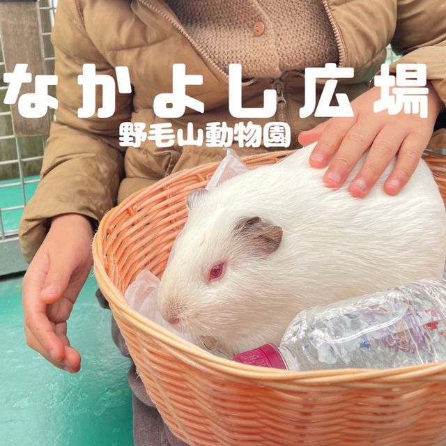 ふれあい広場〜野毛山動物園〜