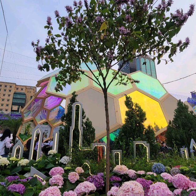 2023 香港花卉展覽