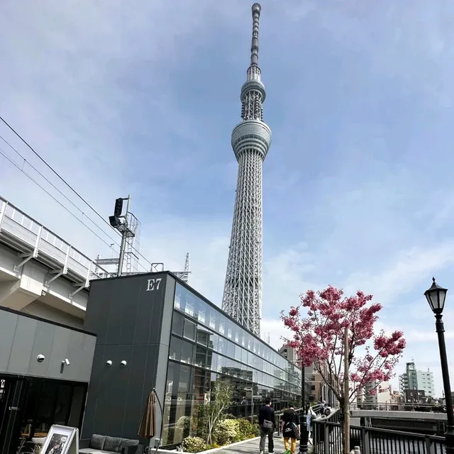 淺草賞櫻賞晴空塔😍