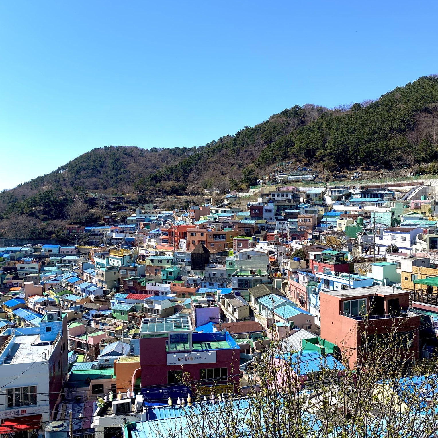 釜山 絶景すぎる 甘川文化村 | Trip.com 釜山