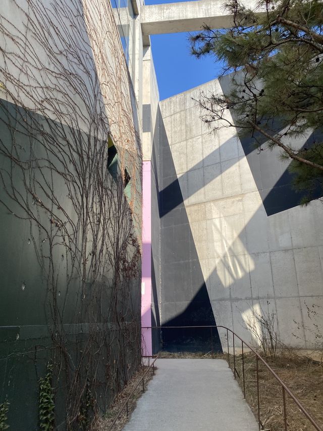 강릉가면 빠질 수 없는 강릉 테라로사☕️🤎