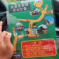 잎새떡 체험도 해보고 제1땅굴 보고 이제 점심 먹을라고 하는....