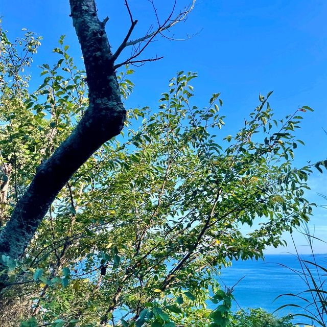 沿岸沿いの絶景　伊東半島ジオパーク