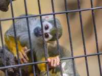 TDL近く無料動物園「江戸川区自然動物園」