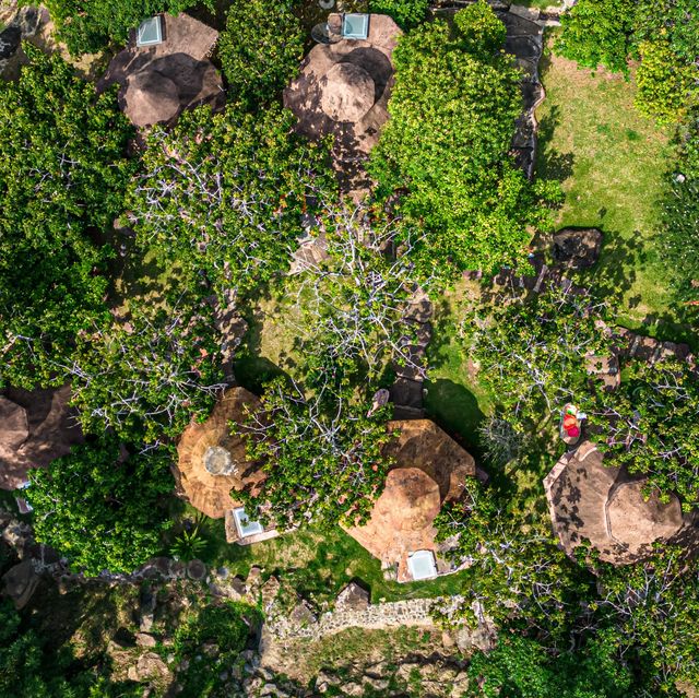 ที่พักน่ารักๆ ที่วังน้ำเขียว มีรถบ้านด้วย 🌳