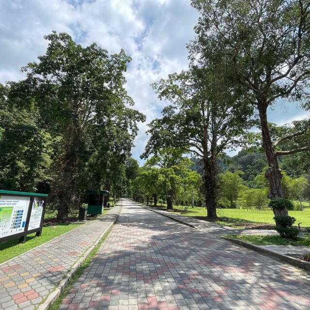 Penang Botanical Garden - a treasure for all