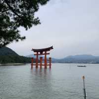 one of the must visit places in Japan - Itsukushima Shrine 
