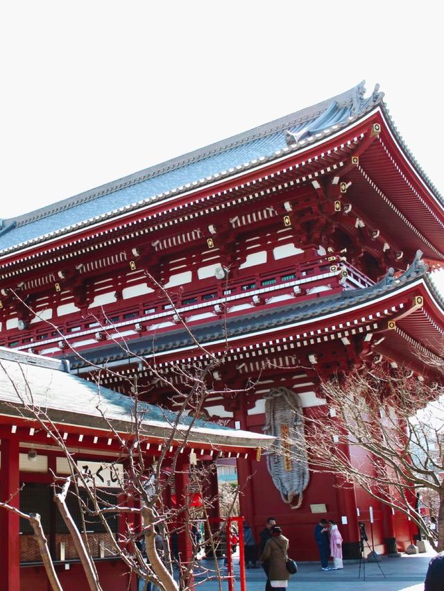 experience using kimono at Asakusa 