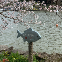 【静岡】蓮華寺池公園