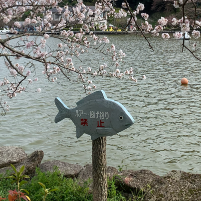 【静岡】蓮華寺池公園