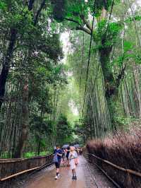 《大阪市京都嵐山一日遊》