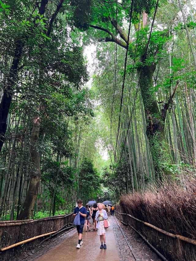《大阪市京都嵐山一日遊》