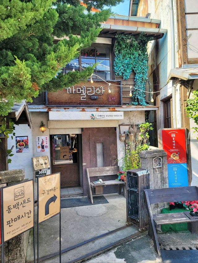 드라마 동백꽃필무렵 촬영지 구룡포 일본인가옥거리🌺