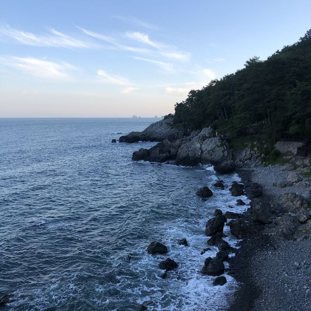 해운대 경치를 만끽할 수 있는, 동백공원