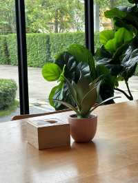 Slowly Mama Coffee Space บรรยากาศสุดชิว🌿