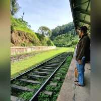 The Most Scenic Train Journey in Sri Lanka