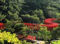 高山稻荷神社：美景，特色鳥居，適合任何時間和場景
