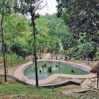 Hidden Gems of Jeli!