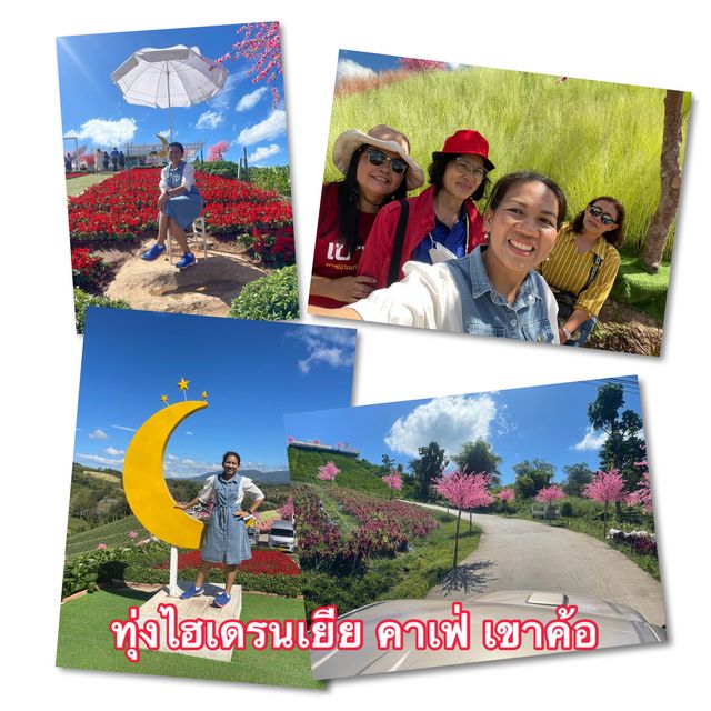 🌼🌼พักกายพักใจ💕💕ชมดอกไม้สวยๆๆ🪻🪻💐💐🌸🌼