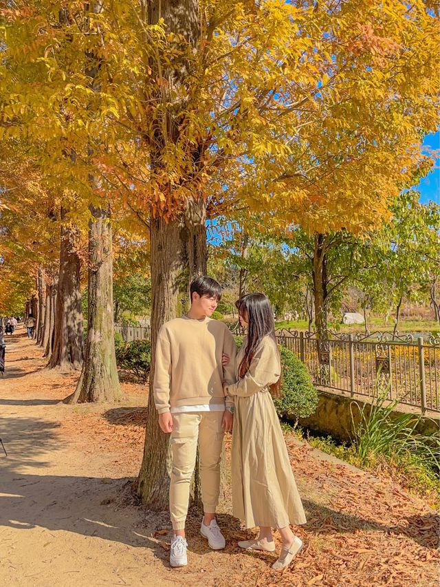 떠오르는 경주 단풍 핫플, 경북천년숲정원(경주산림환경연구원)