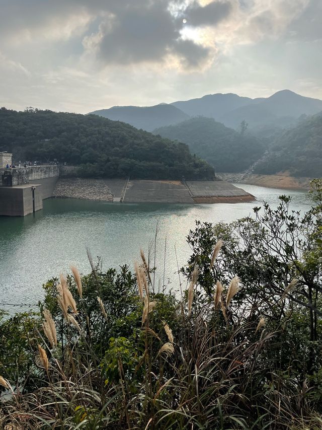 📷【大潭郊野公園】行山日誌🌳💦