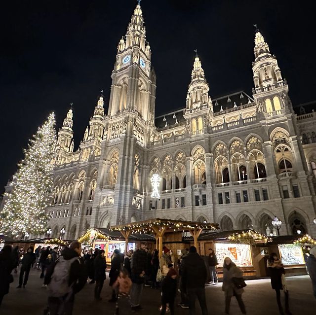 Viennese Christmas wonderland at city hall sq