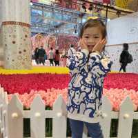 miffy 迷必去打咭