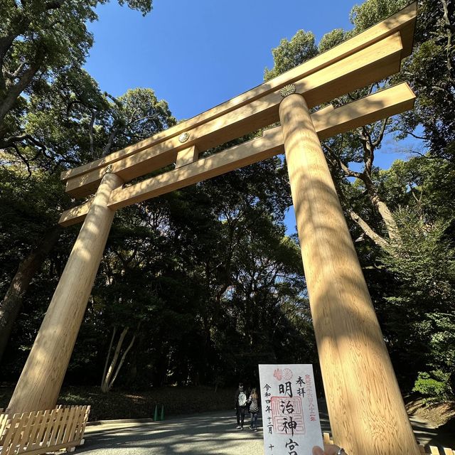 東京最有人氣的宗教勝地 ─明治神宮