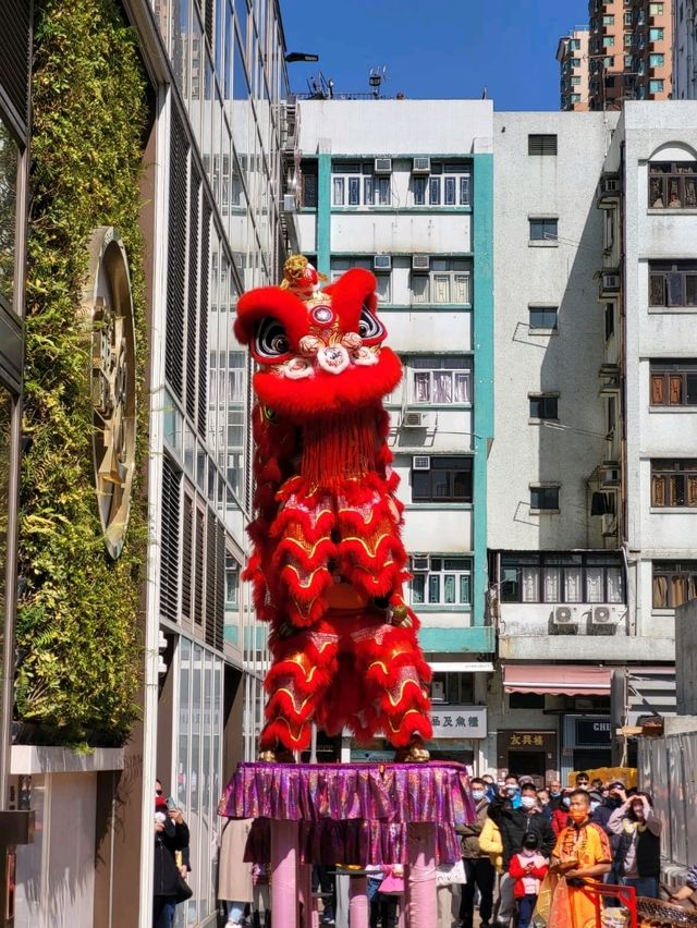 新年必備的精彩醒獅表演