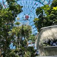 台中 國立自然科學博物館植物園

