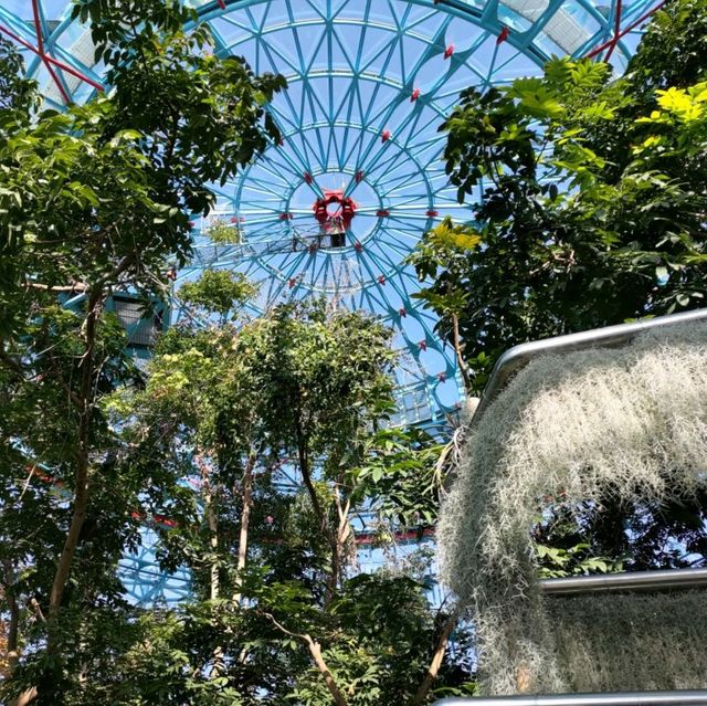 台中 國立自然科學博物館植物園

