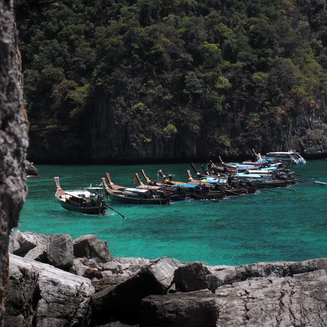 เกาะพีพี อ่าวมาหย่า-ปิเละลากูน-เกาะไผ่ จ.กระบี่  🌊